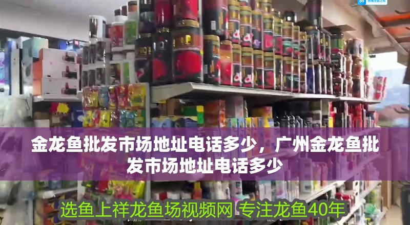 金龍魚批發市場地址電話多少，廣州金龍魚批發市場地址電話多少