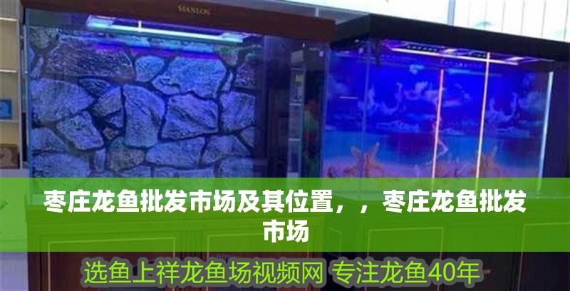 棗莊龍魚批發(fā)市場及其位置，，棗莊龍魚批發(fā)市場