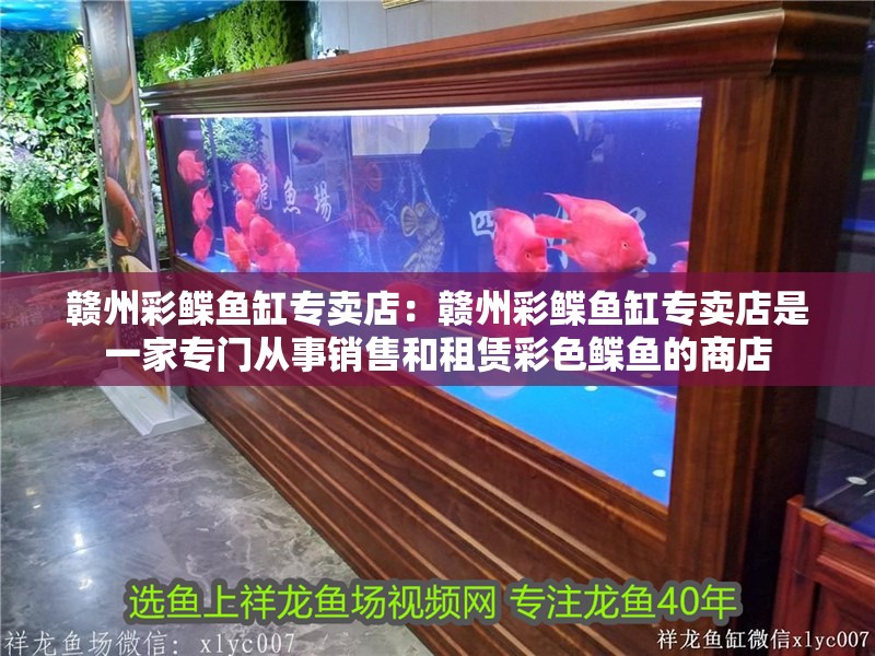 贛州彩鰈魚缸專賣店：贛州彩鰈魚缸專賣店是一家專門從事銷售和租賃彩色鰈魚的商店