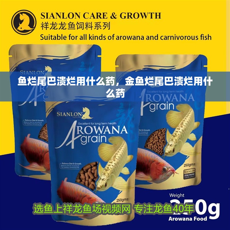 魚爛尾巴潰爛用什么藥，金魚爛尾巴潰爛用什么藥