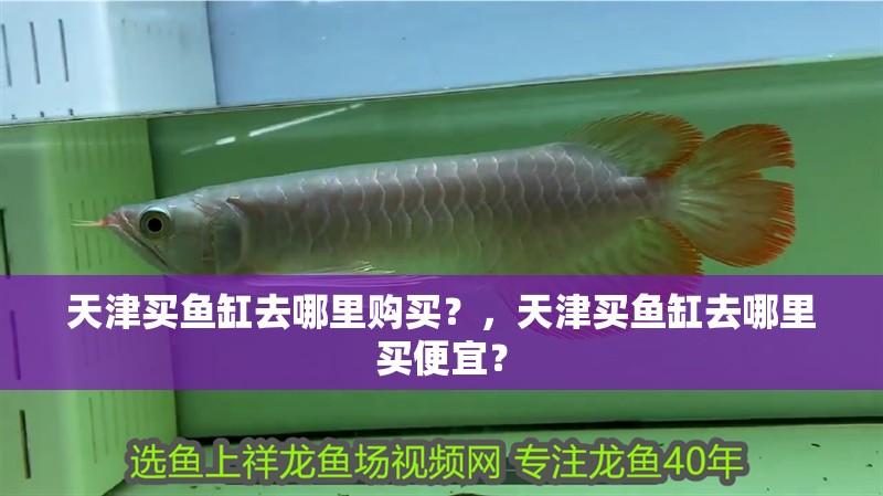 天津買魚缸去哪里購買？，天津買魚缸去哪里買便宜？
