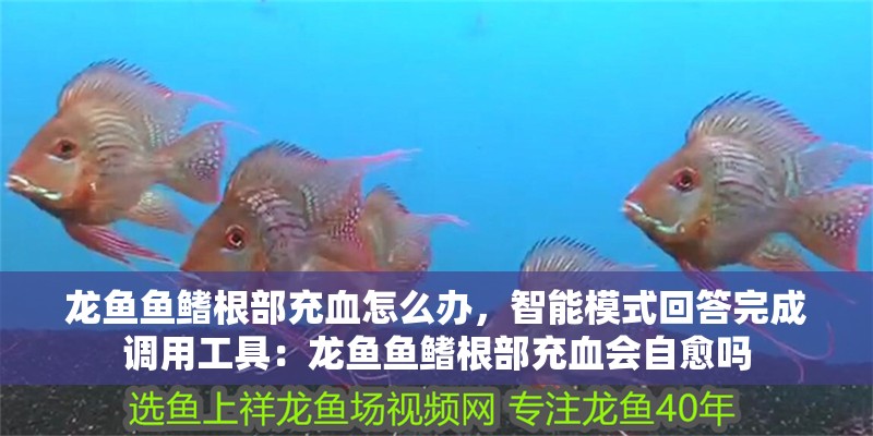 龍魚魚鰭根部充血怎么辦，智能模式回答完成調用工具：龍魚魚鰭根部充血會自愈嗎