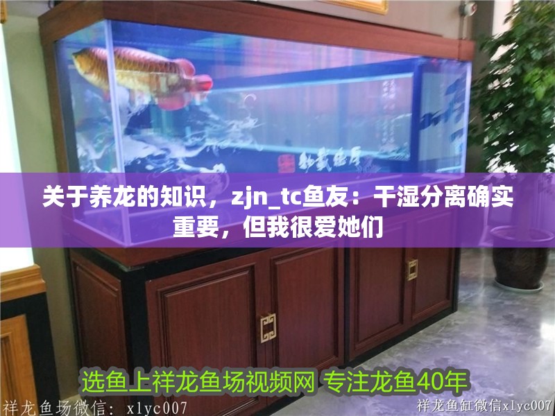 關(guān)于養(yǎng)龍的知識，zjn_tc魚友：干濕分離確實重要，但我很愛她們