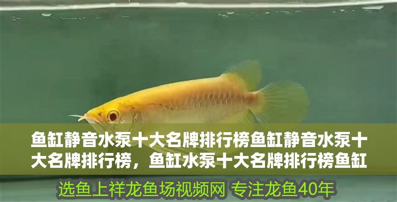 魚缸靜音水泵十大名牌排行榜魚缸靜音水泵十大名牌排行榜，魚缸水泵十大名牌排行榜魚缸靜音水泵十大名牌排行榜
