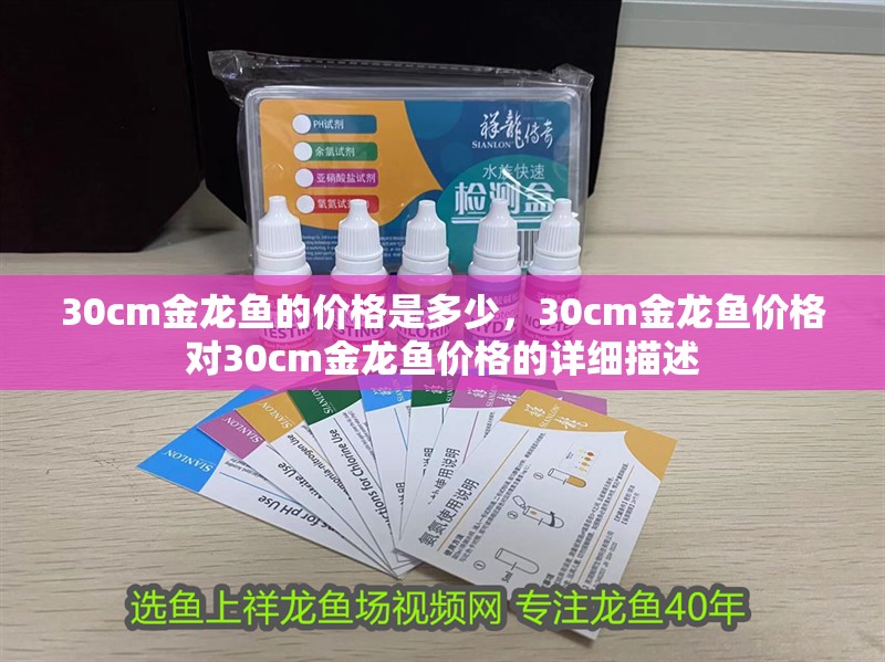 30cm金龍魚的價格是多少，30cm金龍魚價格對30cm金龍魚價格的詳細描述