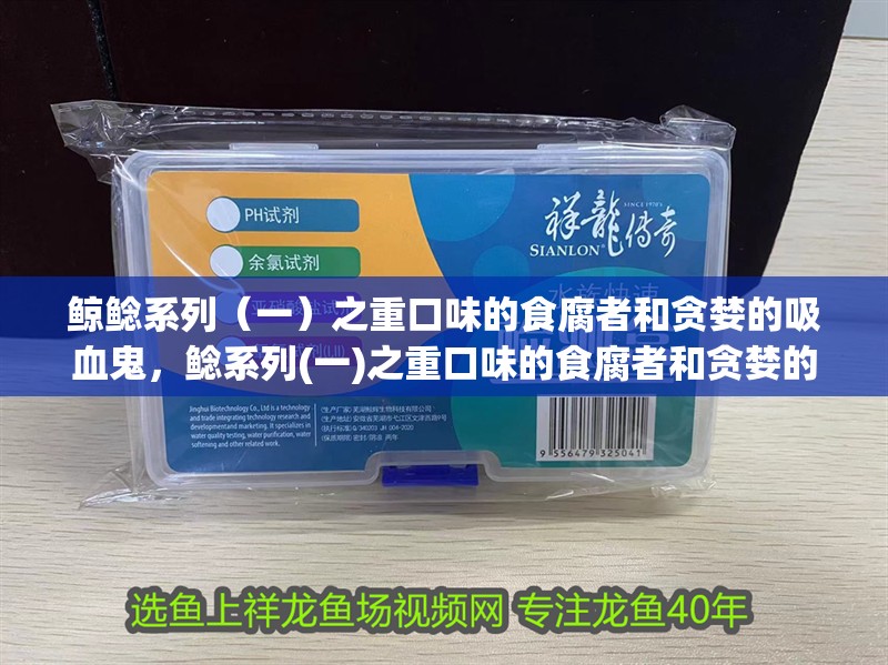鯨鯰系列（一）之重口味的食腐者和貪婪的吸血鬼，鯰系列(一)之重口味的食腐者和貪婪的吸血鬼