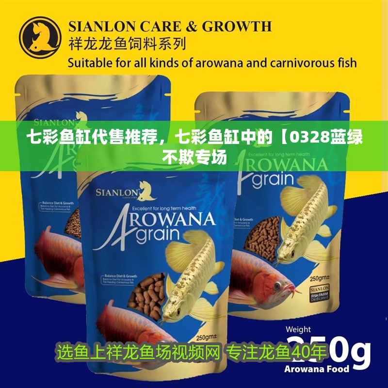 七彩魚缸代售推薦,七彩魚缸中的【0328藍(lán)綠不欺專場