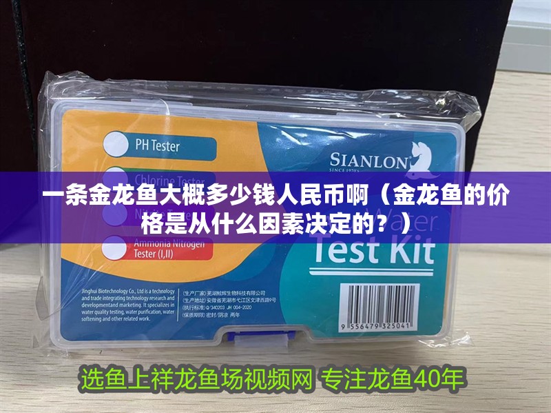 一條金龍魚大概多少錢人民幣啊（金龍魚的價格是從什么因素決定的？）