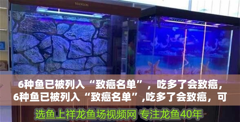 6種魚已被列入“致癌名單”，吃多了會致癌，6種魚已被列入“致癌名單”,吃多了會致癌，可信嗎？