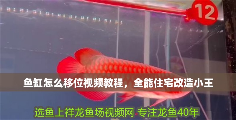 魚缸怎么移位視頻教程，全能住宅改造小王