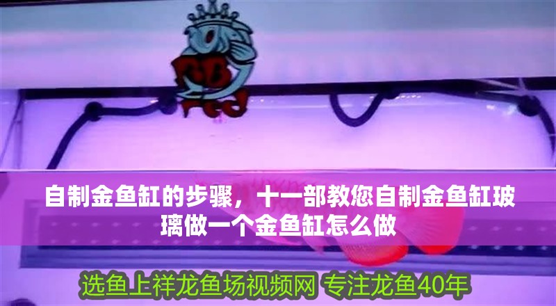 自制金魚缸的步驟，十一部教您自制金魚缸玻璃做一個金魚缸怎么做
