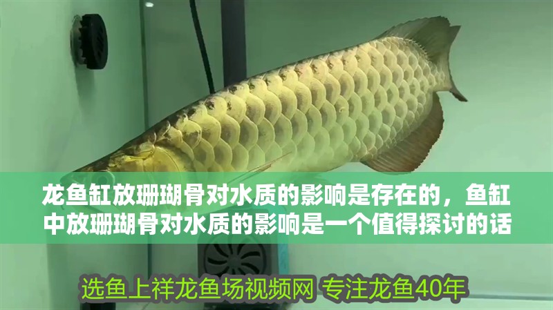 龍魚缸放珊瑚骨對水質(zhì)的影響是存在的，魚缸中放珊瑚骨對水質(zhì)的影響是一個值得探討的話題