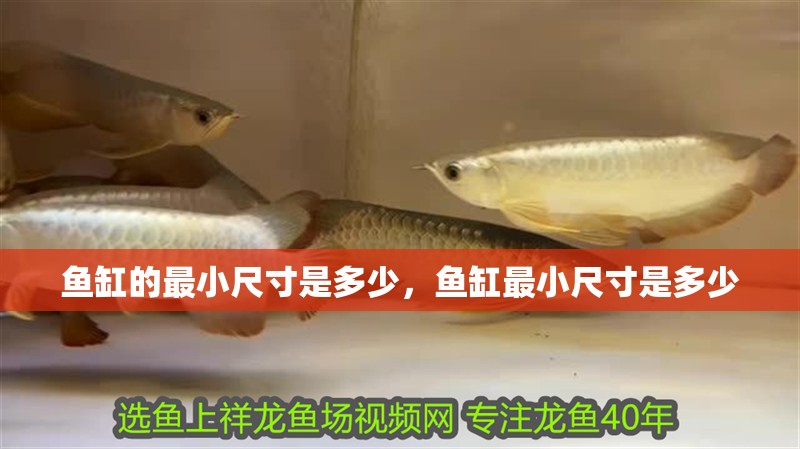 魚缸的最小尺寸是多少，魚缸最小尺寸是多少