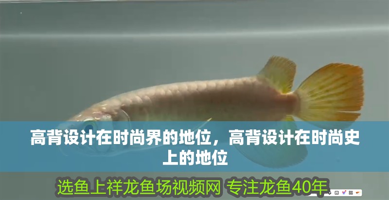 高背設計在時尚界的地位，高背設計在時尚史上的地位