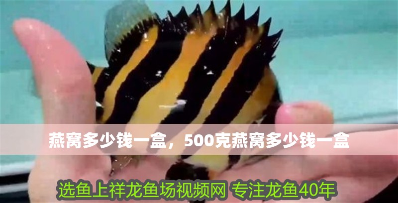 燕窩多少錢一盒，500克燕窩多少錢一盒