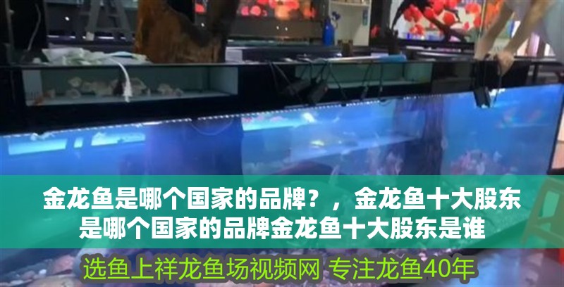 金龍魚是哪個國家的品牌？，金龍魚十大股東是哪個國家的品牌金龍魚十大股東是誰