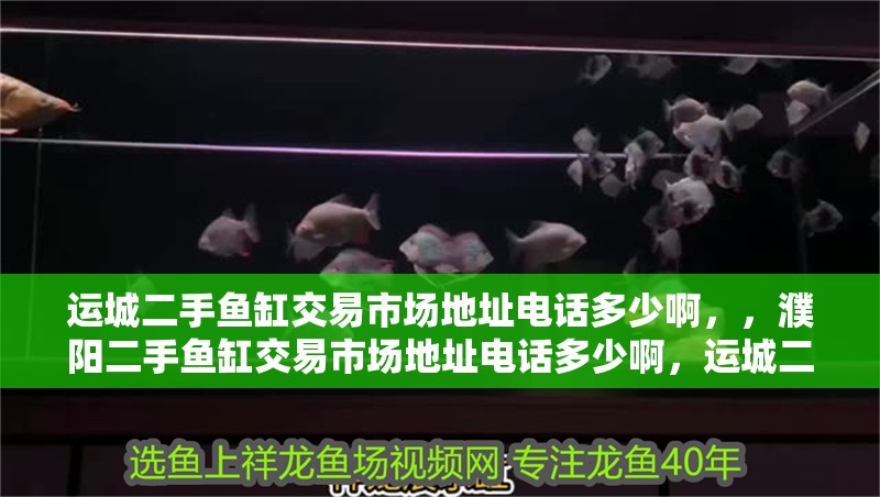運城二手魚缸交易市場地址電話多少啊，，濮陽二手魚缸交易市場地址電話多少啊，運城二手魚缸交易市場地址電話多少啊