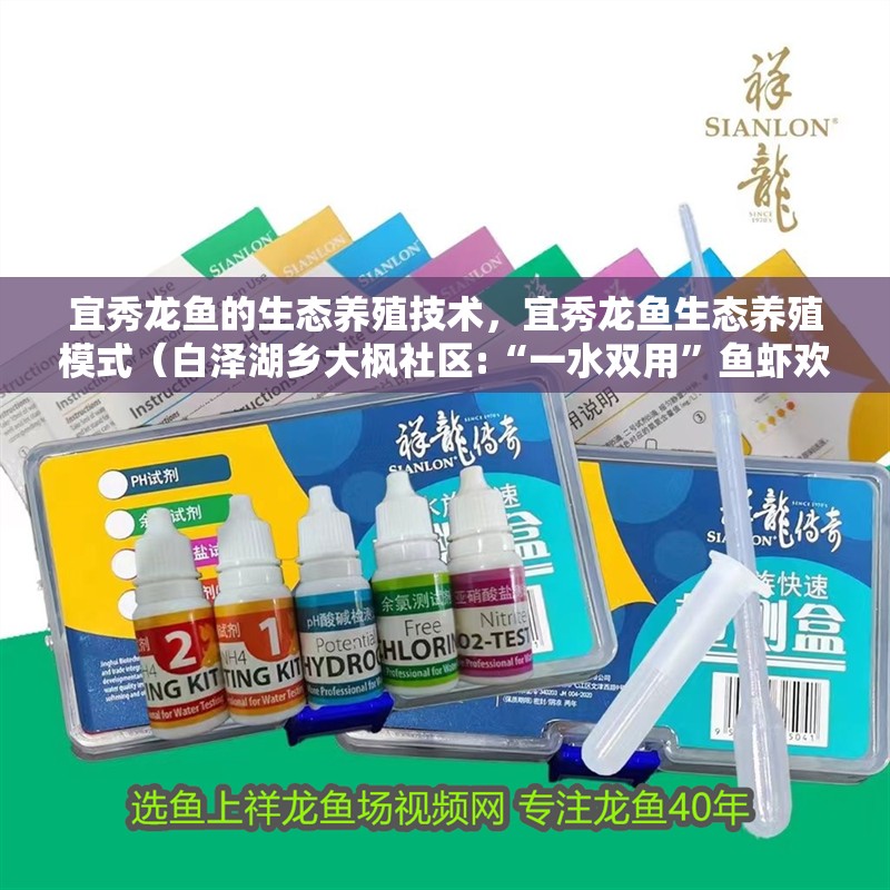 宜秀龍魚的生態(tài)養(yǎng)殖技術(shù)，宜秀龍魚生態(tài)養(yǎng)殖模式（白澤湖鄉(xiāng)大楓社區(qū):“一水雙用”魚蝦歡