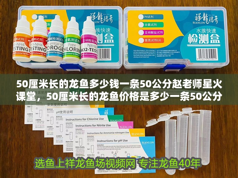 50厘米長的龍魚多少錢一條50公分趙老師星火課堂，50厘米長的龍魚價格是多少一條50公分趙老師星火課堂