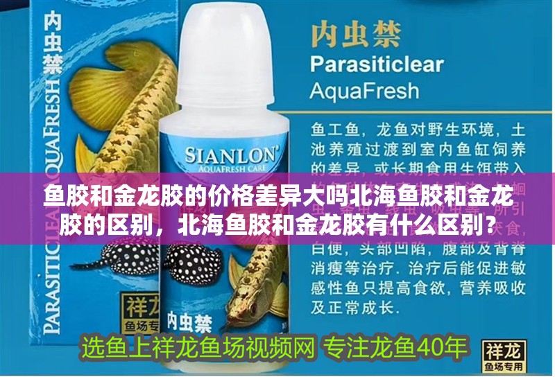 魚膠和金龍膠的價格差異大嗎北海魚膠和金龍膠的區別，北海魚膠和金龍膠有什么區別？