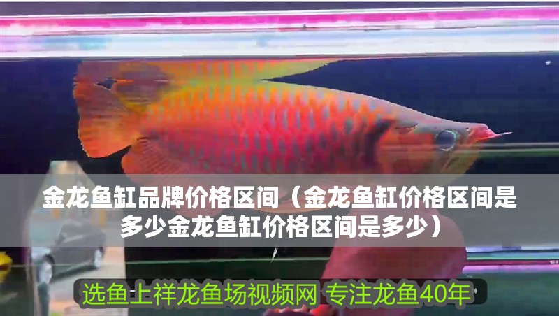 金龍魚缸品牌價格區間（金龍魚缸價格區間是多少金龍魚缸價格區間是多少）