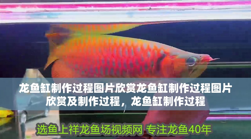 龍魚缸制作過程圖片欣賞龍魚缸制作過程圖片欣賞及制作過程，龍魚缸制作過程
