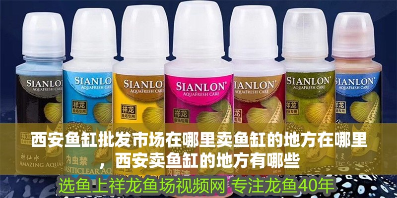 西安魚缸批發市場在哪里賣魚缸的地方在哪里，西安賣魚缸的地方有哪些