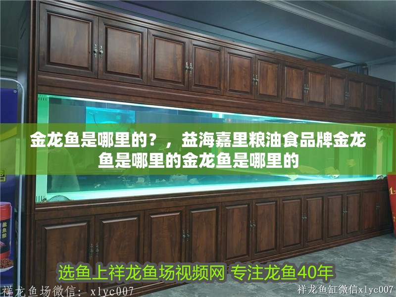 金龍魚是哪里的？，益海嘉里糧油食品牌金龍魚是哪里的金龍魚是哪里的