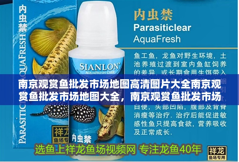 南京觀賞魚批發(fā)市場地圖高清圖片大全南京觀賞魚批發(fā)市場地圖大全，南京觀賞魚批發(fā)市場