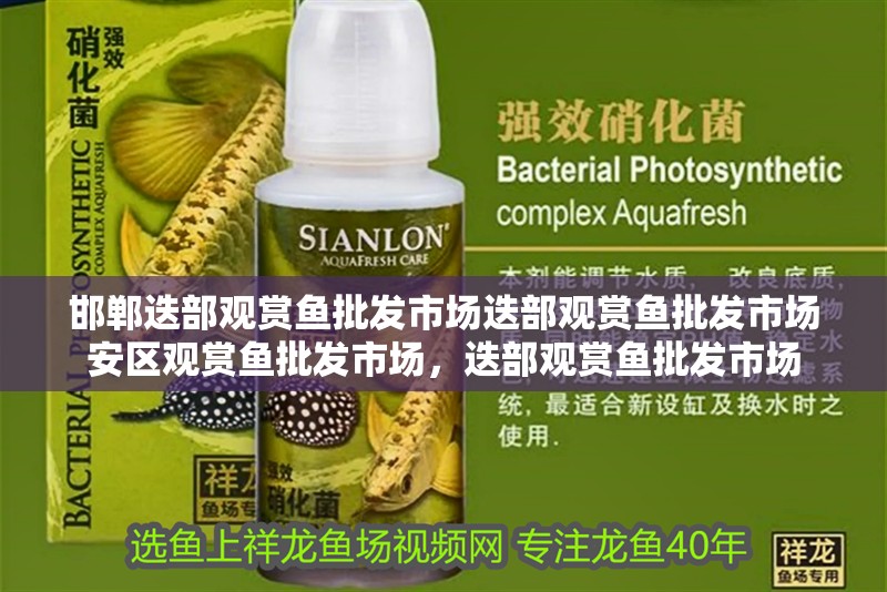 邯鄲迭部觀賞魚批發(fā)市場迭部觀賞魚批發(fā)市場安區(qū)觀賞魚批發(fā)市場，迭部觀賞魚批發(fā)市場