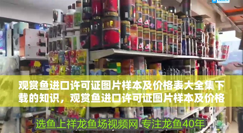 觀賞魚進口許可證圖片樣本及價格表大全集下載的知識，觀賞魚進口許可證圖片樣本及價格表