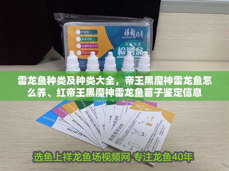 雷龍魚(yú)種類(lèi)及種類(lèi)大全，帝王黑魔神雷龍魚(yú)怎么養(yǎng)、紅帝王黑魔神雷龍魚(yú)苗子鑒定信息