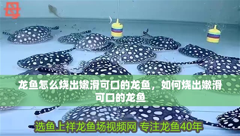 龍魚怎么燒出嫩滑可口的龍魚，如何燒出嫩滑可口的龍魚