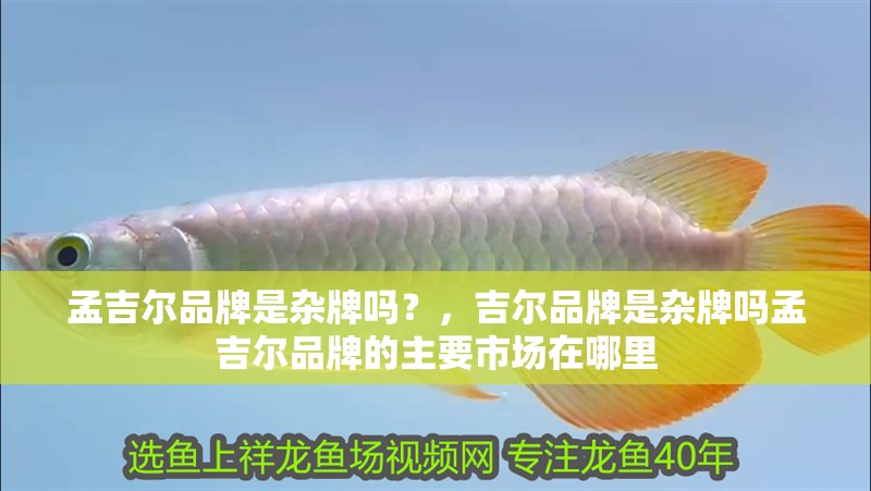 孟吉爾品牌是雜牌嗎？，吉爾品牌是雜牌嗎孟吉爾品牌的主要市場在哪里