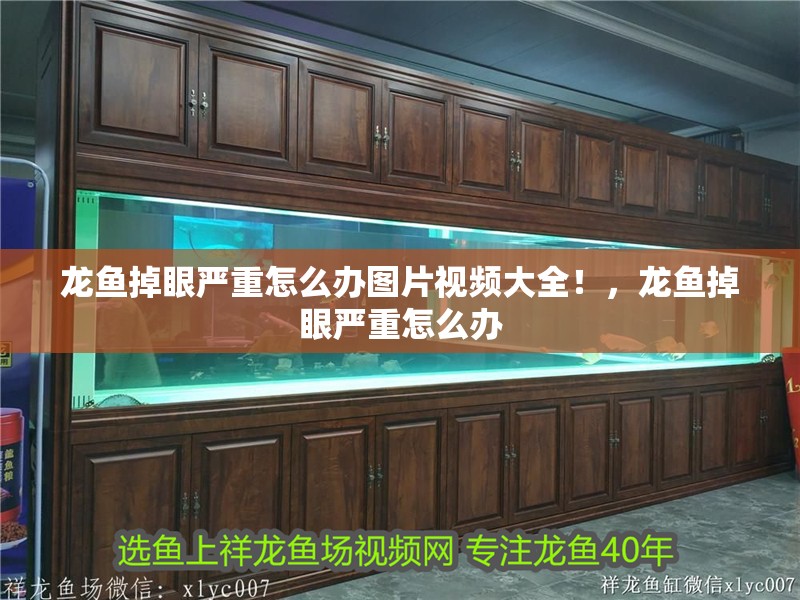 龍魚掉眼嚴重怎么辦圖片視頻大全！，龍魚掉眼嚴重怎么辦