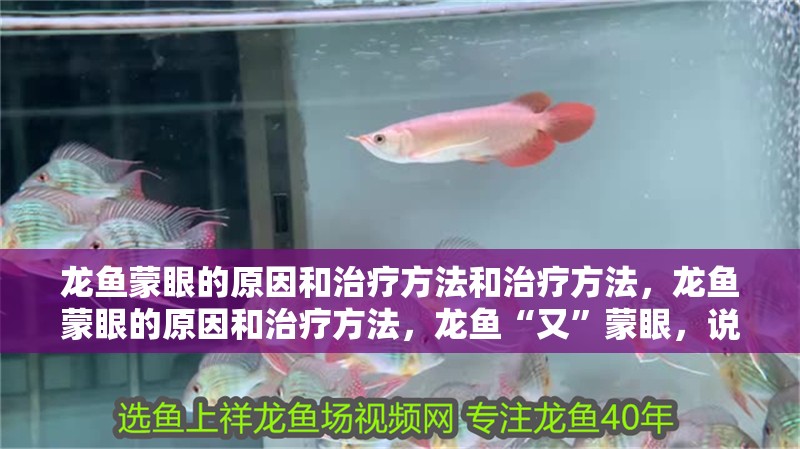 龍魚蒙眼的原因和治療方法和治療方法，龍魚蒙眼的原因和治療方法，龍魚“又”蒙眼，說明你水質很差，要自檢