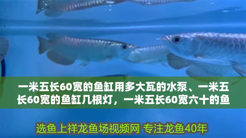 一米五長60寬的魚缸用多大瓦的水泵、一米五長60寬的魚缸幾根燈，一米五長60寬六十的魚缸幾根燈