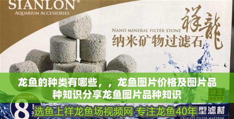 龍魚的種類有哪些，，龍魚圖片價格及圖片品種知識分享龍魚圖片品種知識