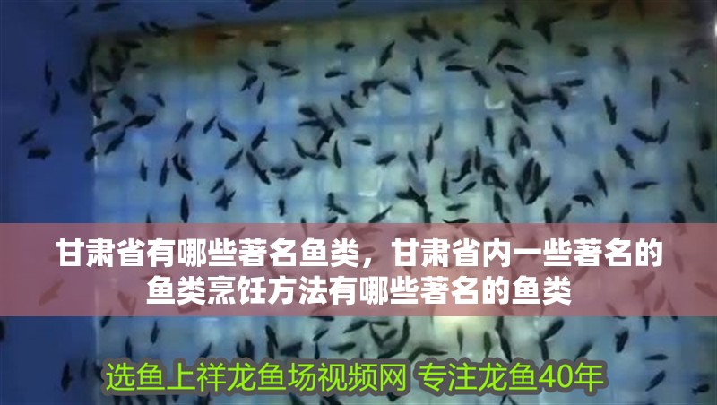 甘肅省有哪些著名魚類，甘肅省內一些著名的魚類烹飪方法有哪些著名的魚類