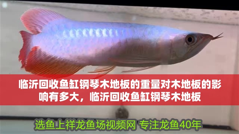臨沂回收魚缸鋼琴木地板的重量對木地板的影響有多大，臨沂回收魚缸鋼琴木地板
