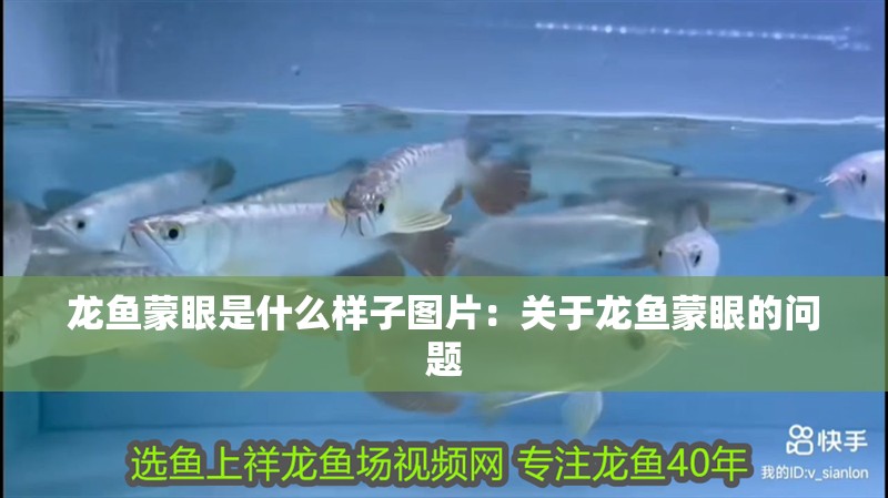 龍魚蒙眼是什么樣子圖片：關于龍魚蒙眼的問題