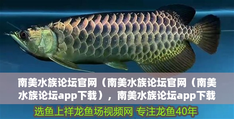 南美水族論壇官網（南美水族論壇官網（南美水族論壇app下載），南美水族論壇app下載