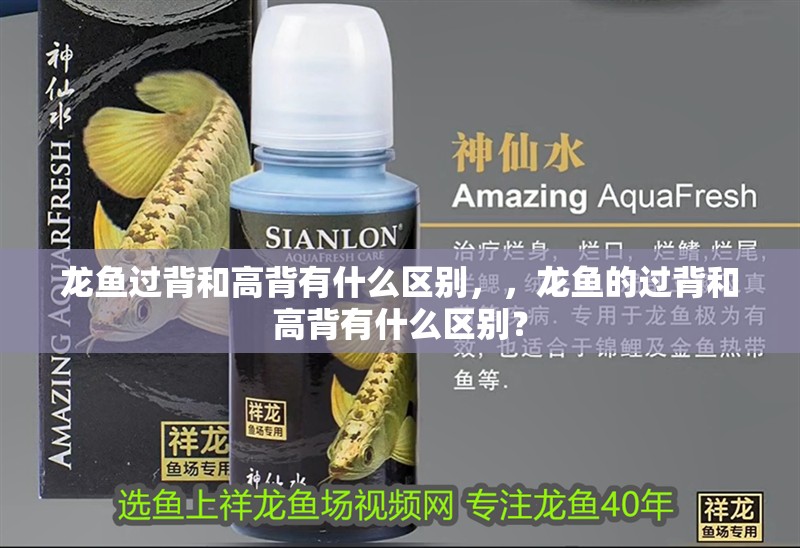 龍魚過背和高背有什么區別，，龍魚的過背和高背有什么區別？