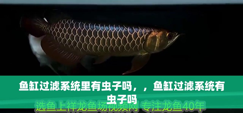 魚缸過濾系統里有蟲子嗎，，魚缸過濾系統有蟲子嗎