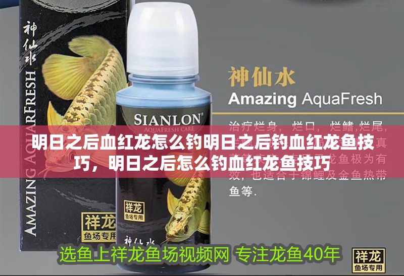 明日之后血紅龍怎么釣明日之后釣血紅龍魚技巧，明日之后怎么釣血紅龍魚技巧