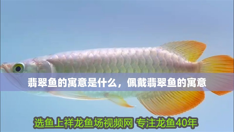 翡翠魚的寓意是什么，佩戴翡翠魚的寓意