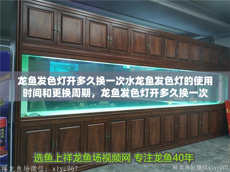 龍魚發(fā)色燈開多久換一次水龍魚發(fā)色燈的使用時間和更換周期，龍魚發(fā)色燈開多久換一次