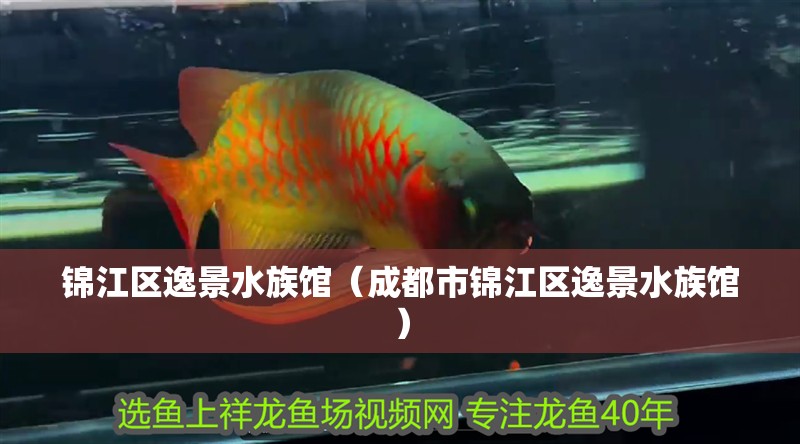 錦江區逸景水族館（成都市錦江區逸景水族館）