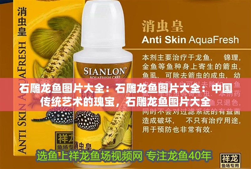 石雕龍魚圖片大全：石雕龍魚圖片大全：中國傳統藝術的瑰寶，石雕龍魚圖片大全