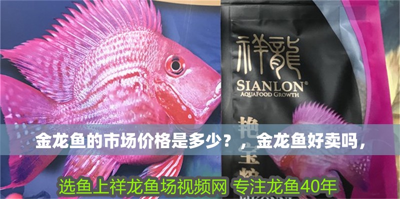 金龍魚的市場價(jià)格是多少？，金龍魚好賣嗎，